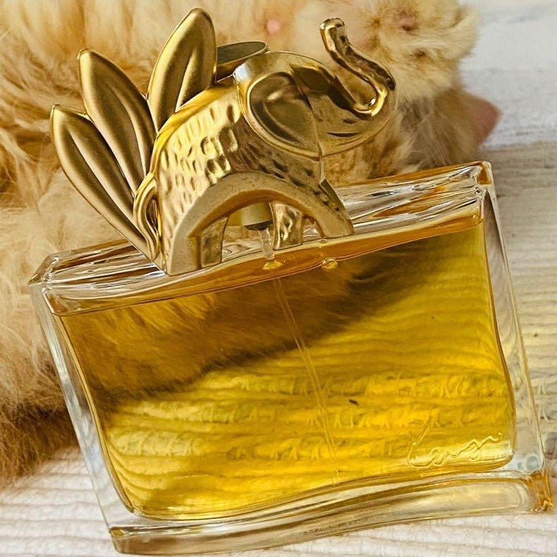 Kenzo Jungle Elephant Eau de Parfum 100ml Spray