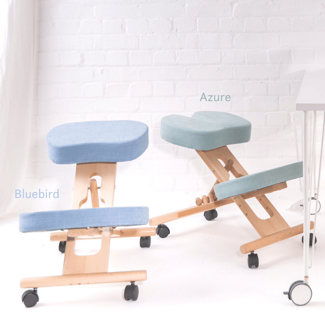 360-Hue Spectrum Memory Foam Throne for Kneeling - A Colorful Comfort Revolution! - Chairs