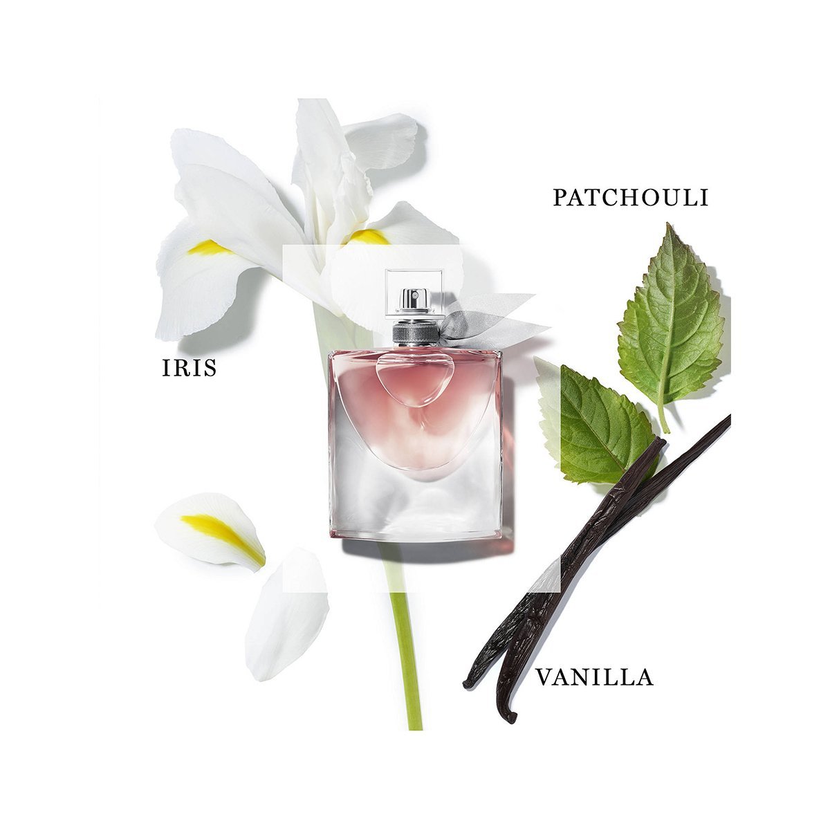 Lancome La Vie Est Belle Eau de Parfum 50ml Spray