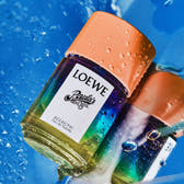 Loewe Paula's Ibiza Eclectic Eau de Toilette 100ml Spray
