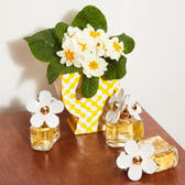 Marc Jacobs Daisy Eau de Toilette 200ml Spray