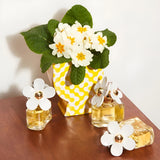 Marc Jacobs Daisy Gift Set 100ml EDT + 75ml Body Lotion + 10ml EDT