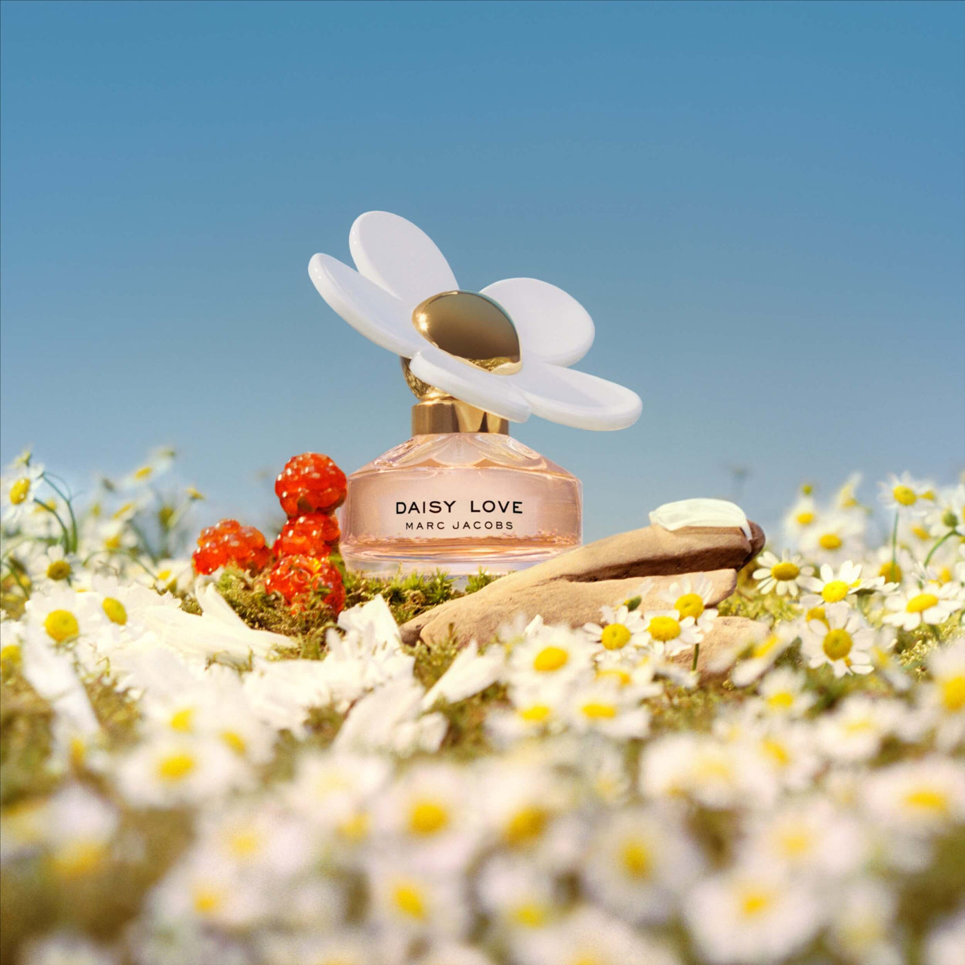 Marc Jacobs Daisy Love Eau de Toilette 50ml Spray