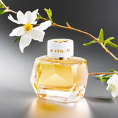 Mont Blanc Signature Absolue Eau de Parfum 90ml Spray