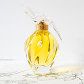 Nina Ricci L'air Du Temps Eau de Toilette 100ml Spray