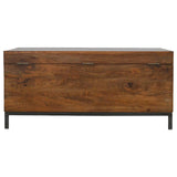 Industrial Wooden Storage Box Storage Bench | Chestnut Mango Wood Hidden Storage