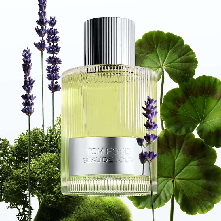 Tom Ford Beau de Jour Eau de Parfum 100ml Spray Men's Fragrance Default Title