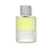 Tom Ford Beau de Jour Eau de Parfum 100ml Spray