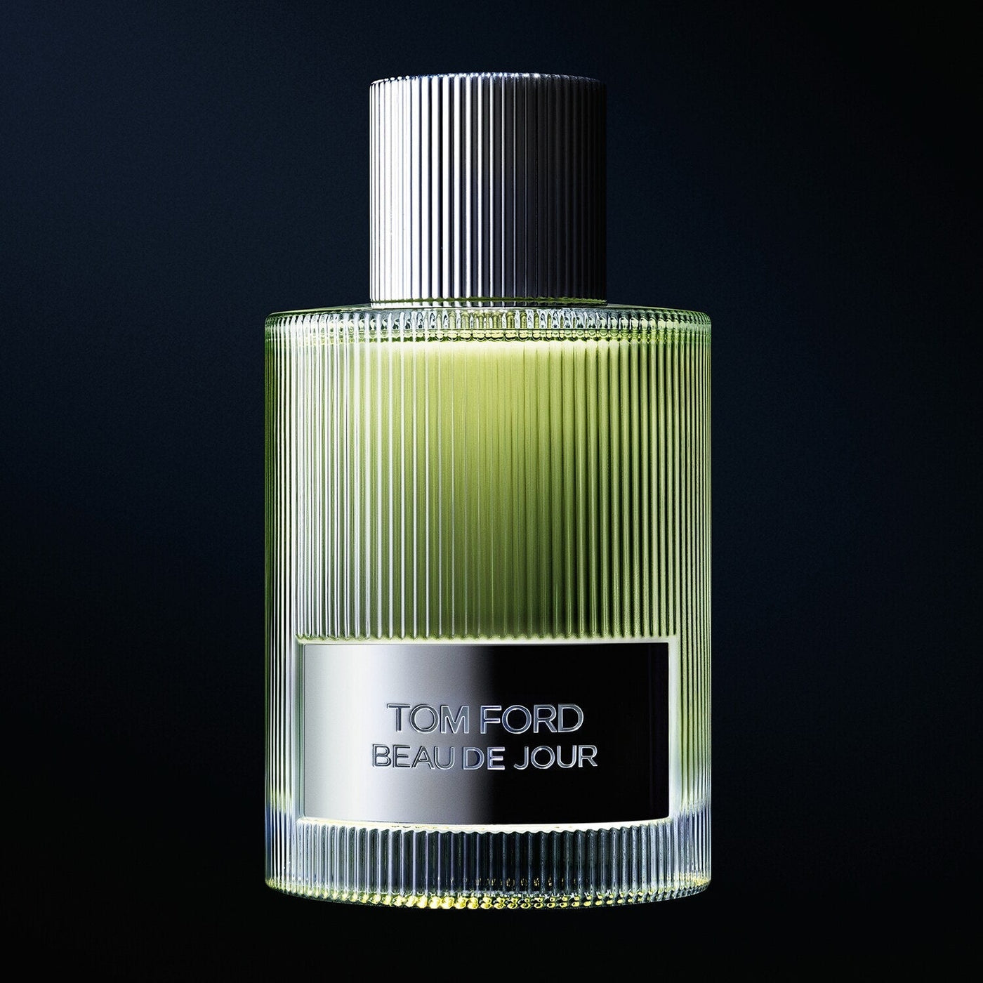 Tom Ford Beau de Jour Eau de Parfum 100ml Spray