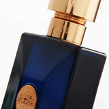 Versace Pour Homme Dylan Blue Eau de Toilette 100ml Spray