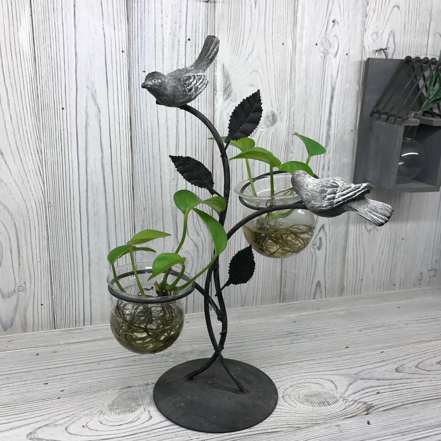 Hydroponic Home Décor - Two Pots and Birds