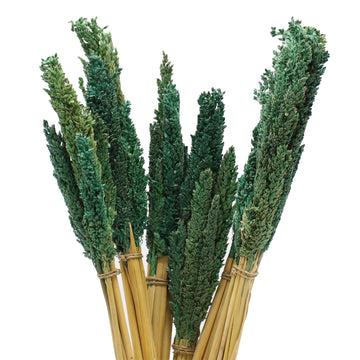 Cantal Grass Bunch - Teal