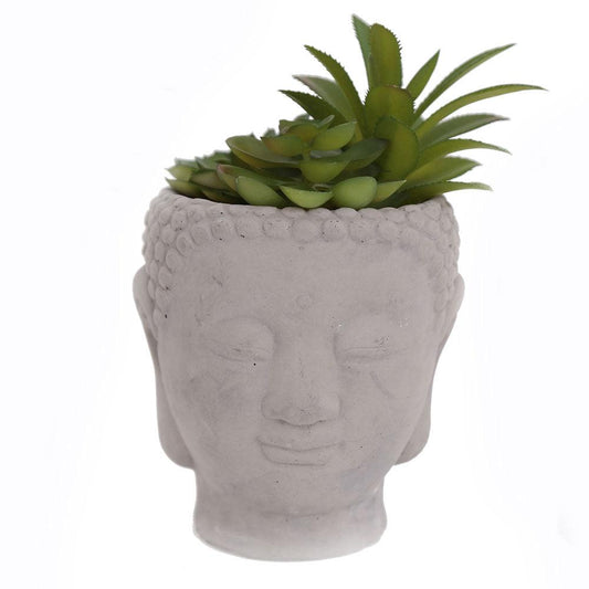 20cm Buddha Head Succulent - £13.5 - Ornaments 