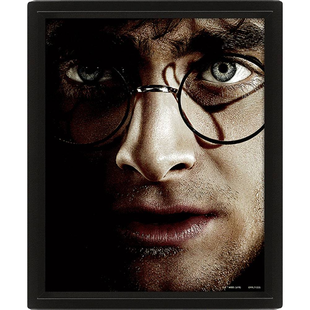 Harry Potter Framed 3D Picture - Officially licensed merchandise.