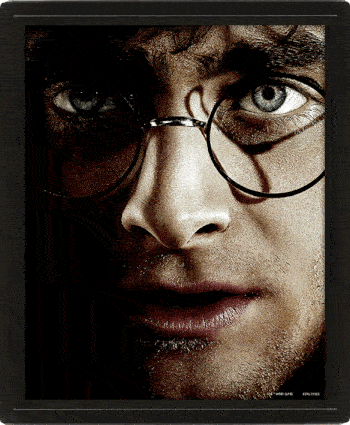 Harry Potter Framed 3D Picture - Officially licensed merchandise.