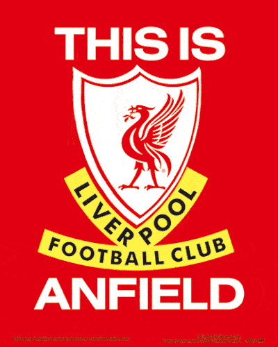 Liverpool FC 3D Print - Officially licensed merchandise.
