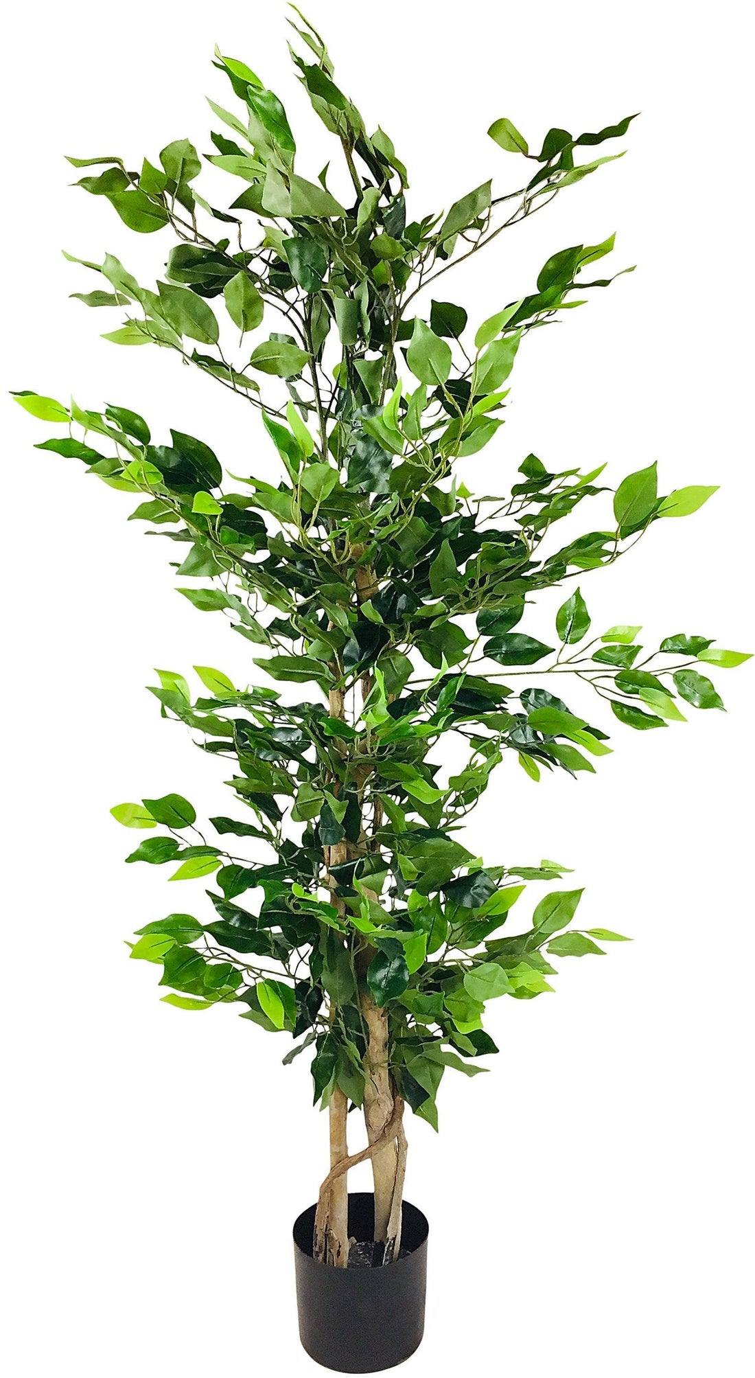 Artificial Ficus Tree with Natural Trunk 125cm - £96.99 - Artificial Plants 