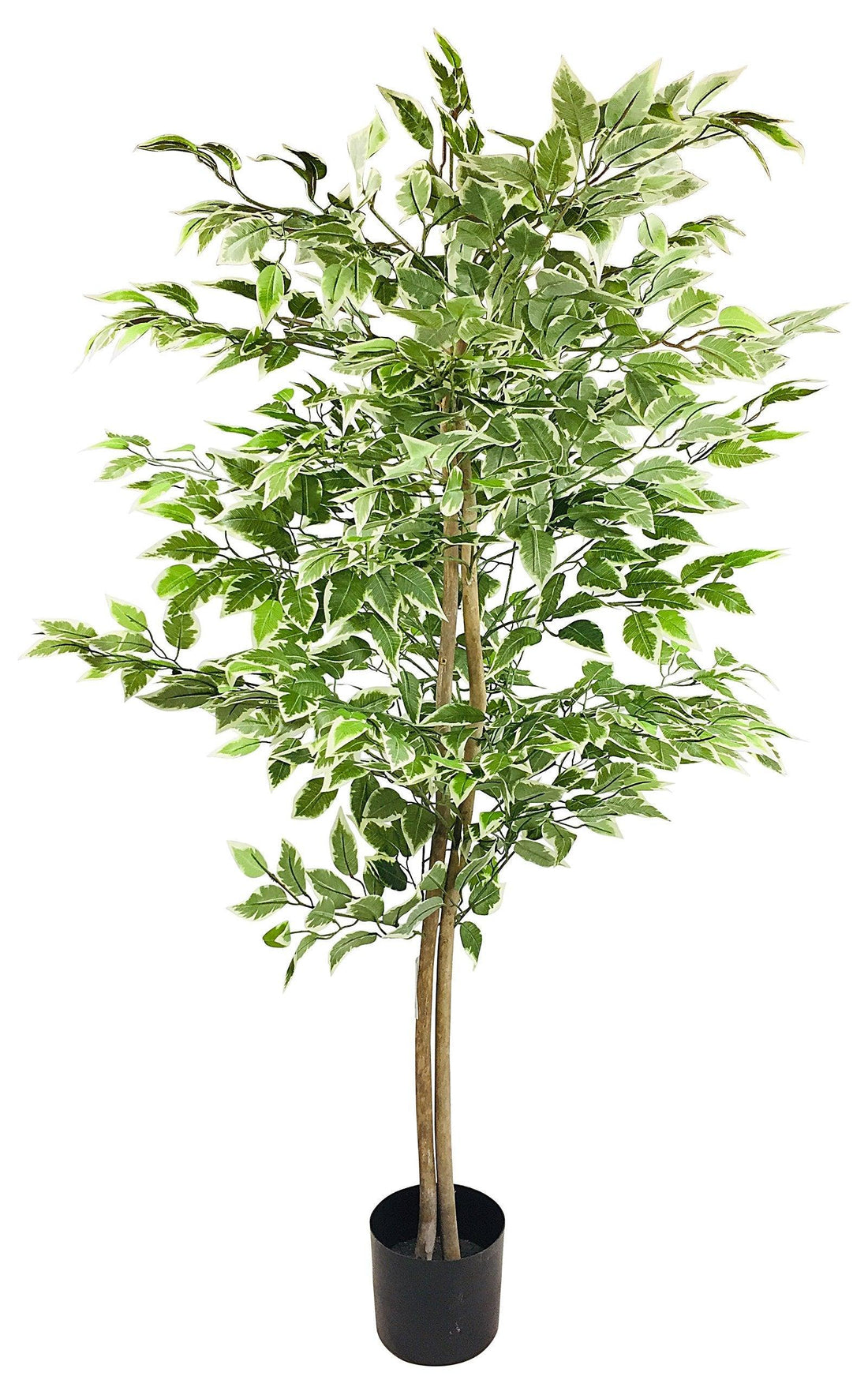 Artificial Ficus Tree With Variegation Leaves 150cm - £118.99 - Artificial Plants 