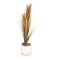 Artificial Grasses In A White Pot With Brown Feathers - 50cm-Artificial Plants