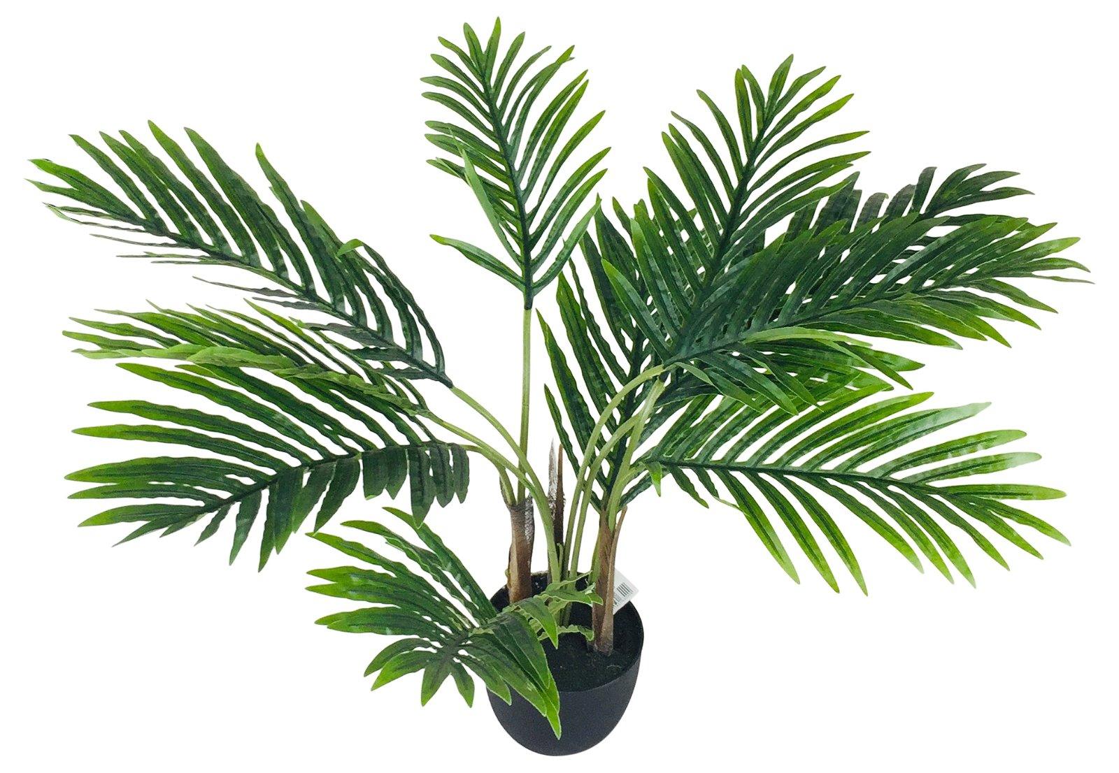 Artificial Palm Tree 65cm - £34.99 - Artificial Plants 