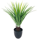 Artificial Pineapple Tree 68cm-Artificial Plants