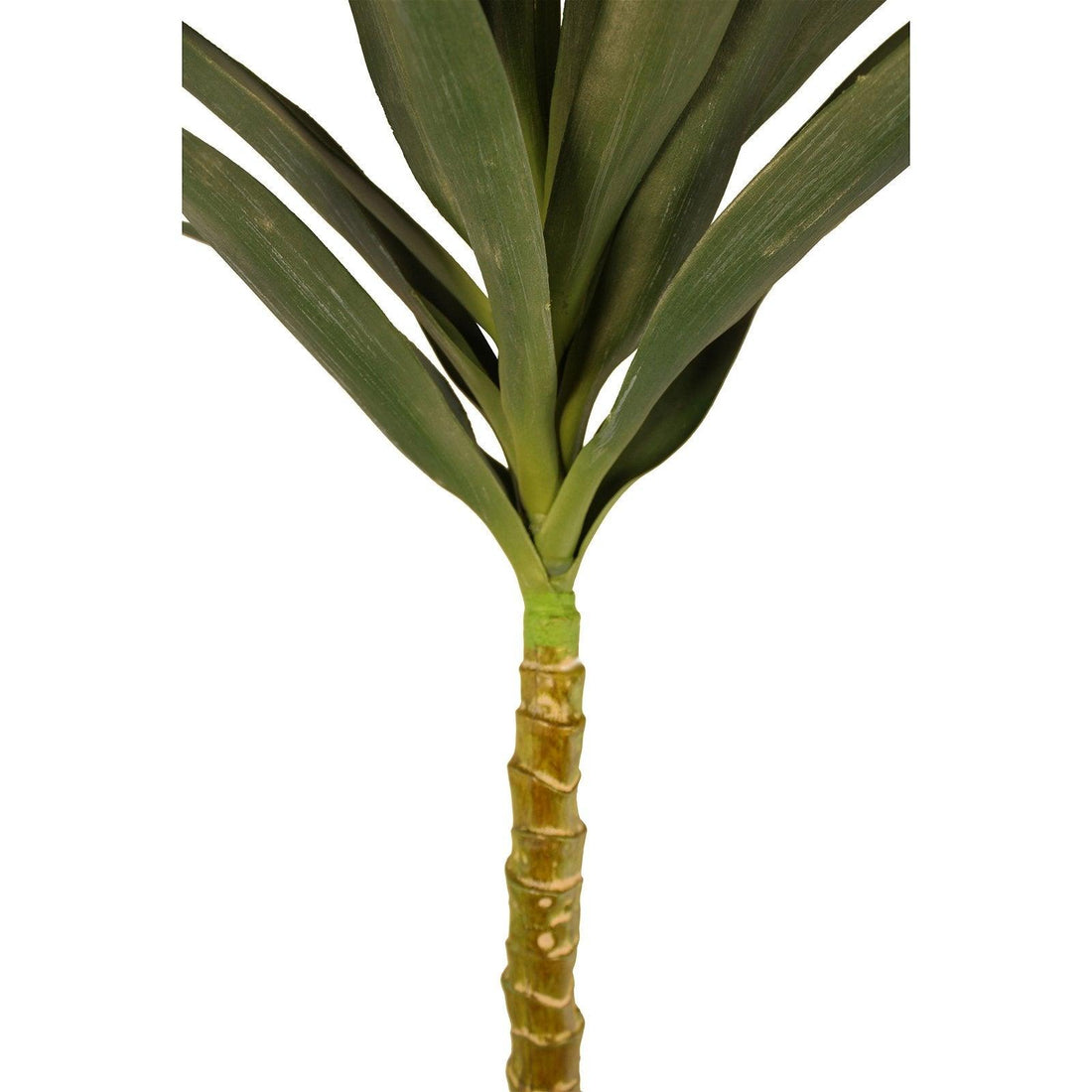 Artificial Single Trunk Yucca Tree, 100cm - £56.99 - Artificial Plants 