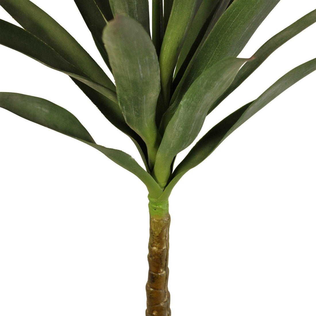 Artificial Single Trunk Yucca Tree, 80cm - £52.99 - Artificial Plants 