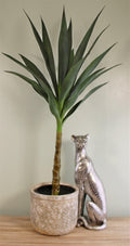 Artificial Single Trunk Yucca Tree, 80cm-Artificial Plants