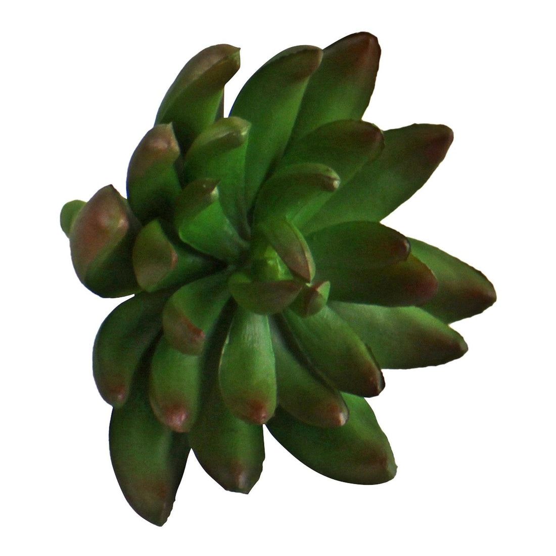 Artificial Small Succulent Pick, 11cm - £12.99 - Small Succulents & Faux Bonsai 