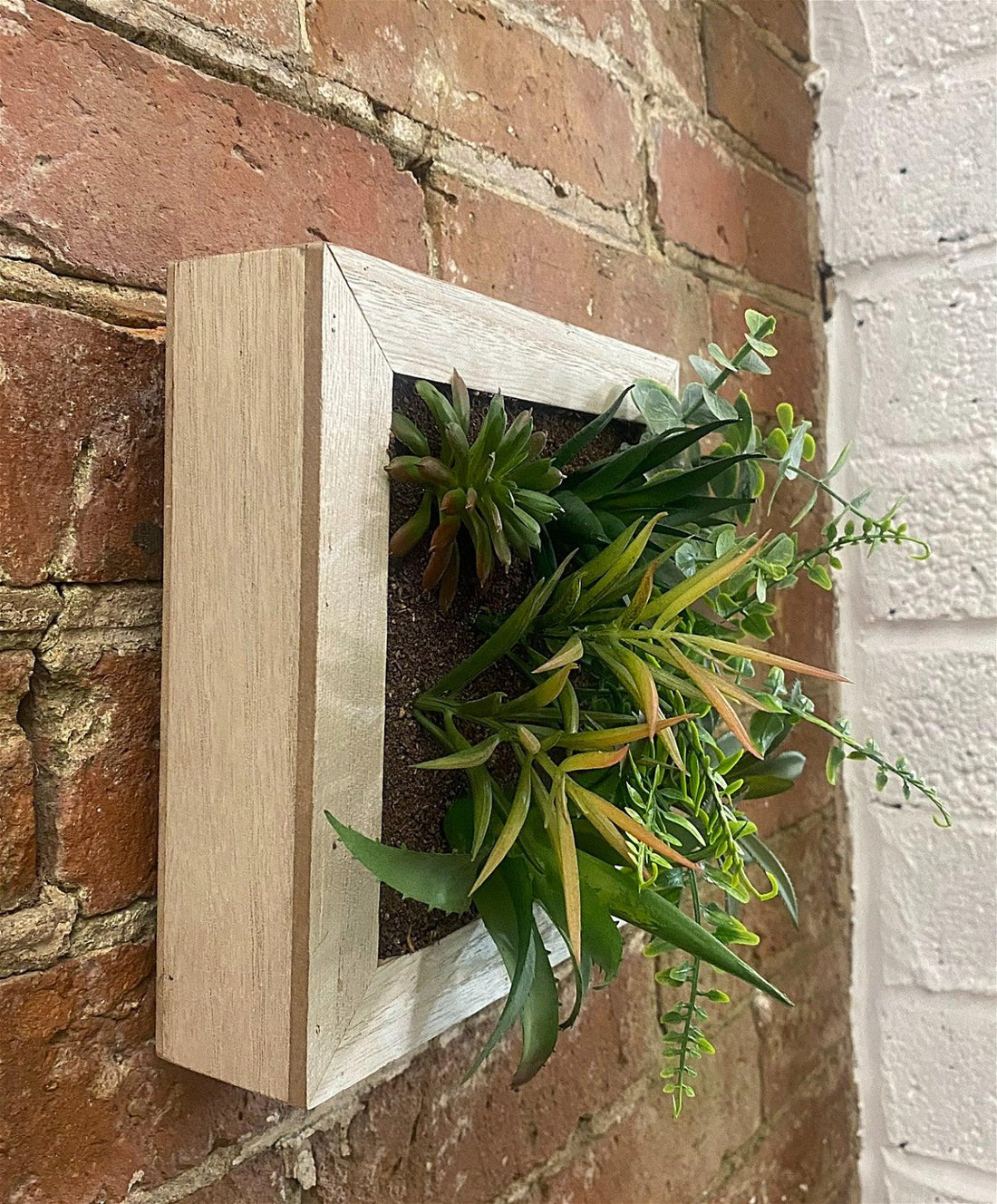 Artificial Succulents In Square Wooden Frame - £33.99 - Small Succulents & Faux Bonsai 