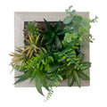 Artificial Succulents In Square Wooden Frame-Small Succulents & Faux Bonsai