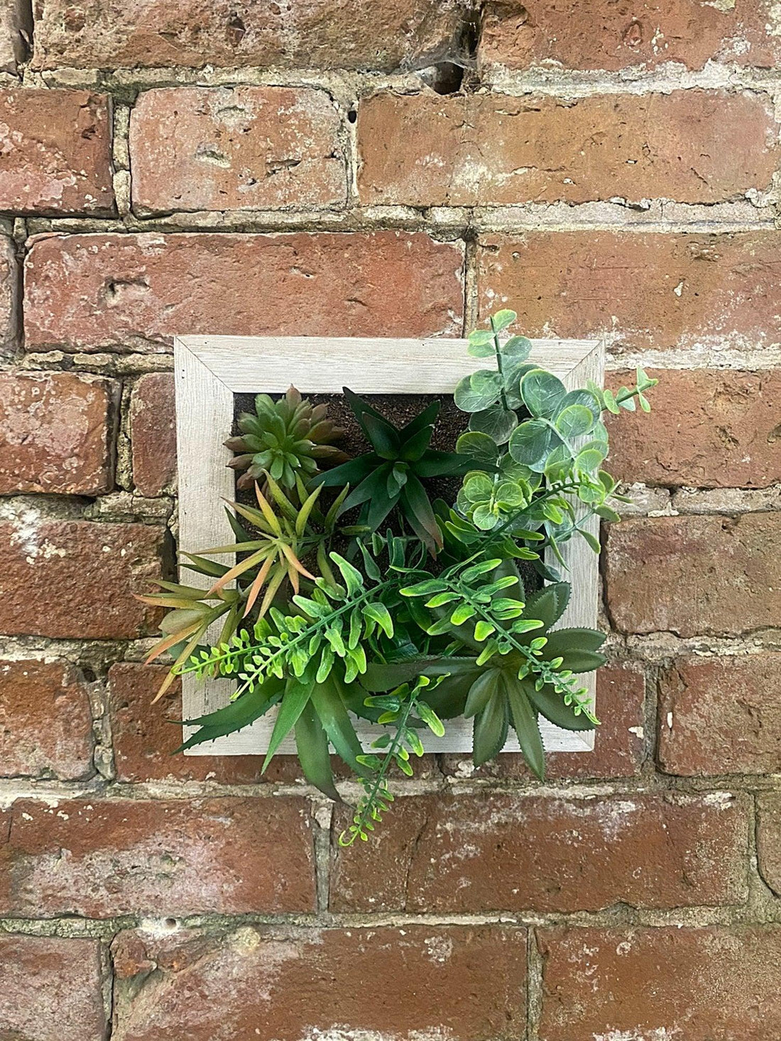 Artificial Succulents In Square Wooden Frame - £33.99 - Small Succulents & Faux Bonsai 