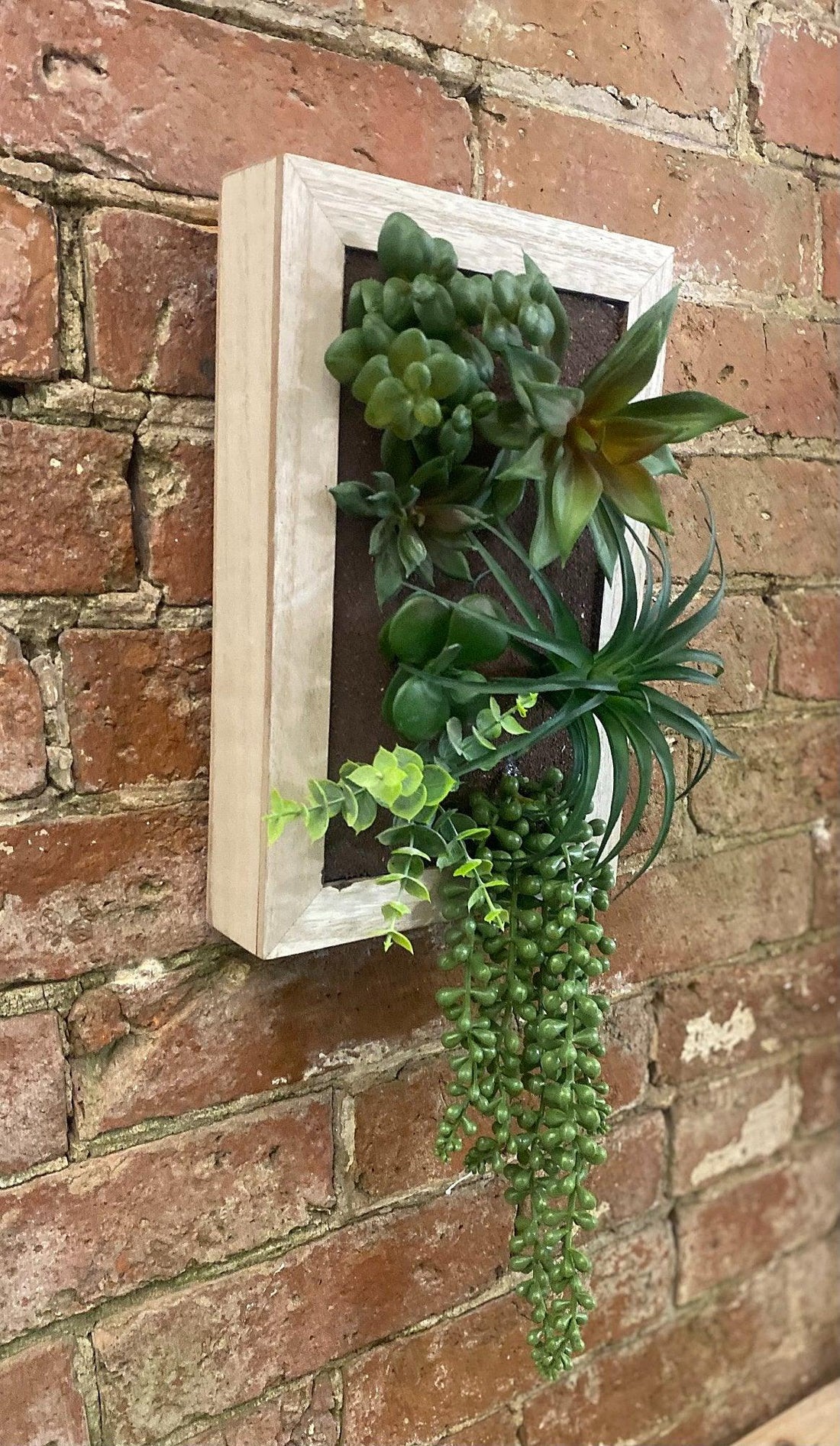 Artificial Succulents In Wooden Frame - £41.99 - Small Succulents & Faux Bonsai 