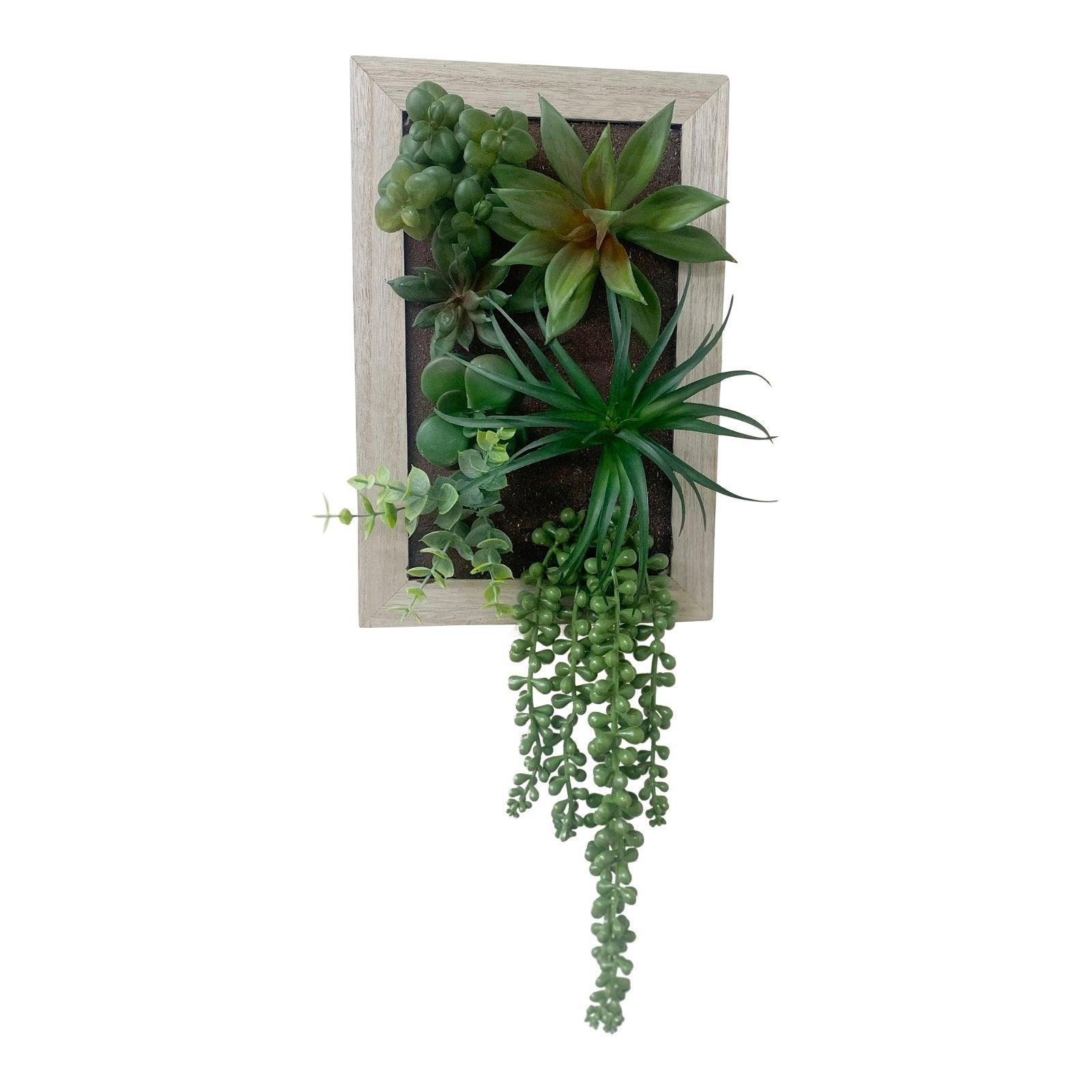 Artificial Succulents In Wooden Frame-Small Succulents & Faux Bonsai