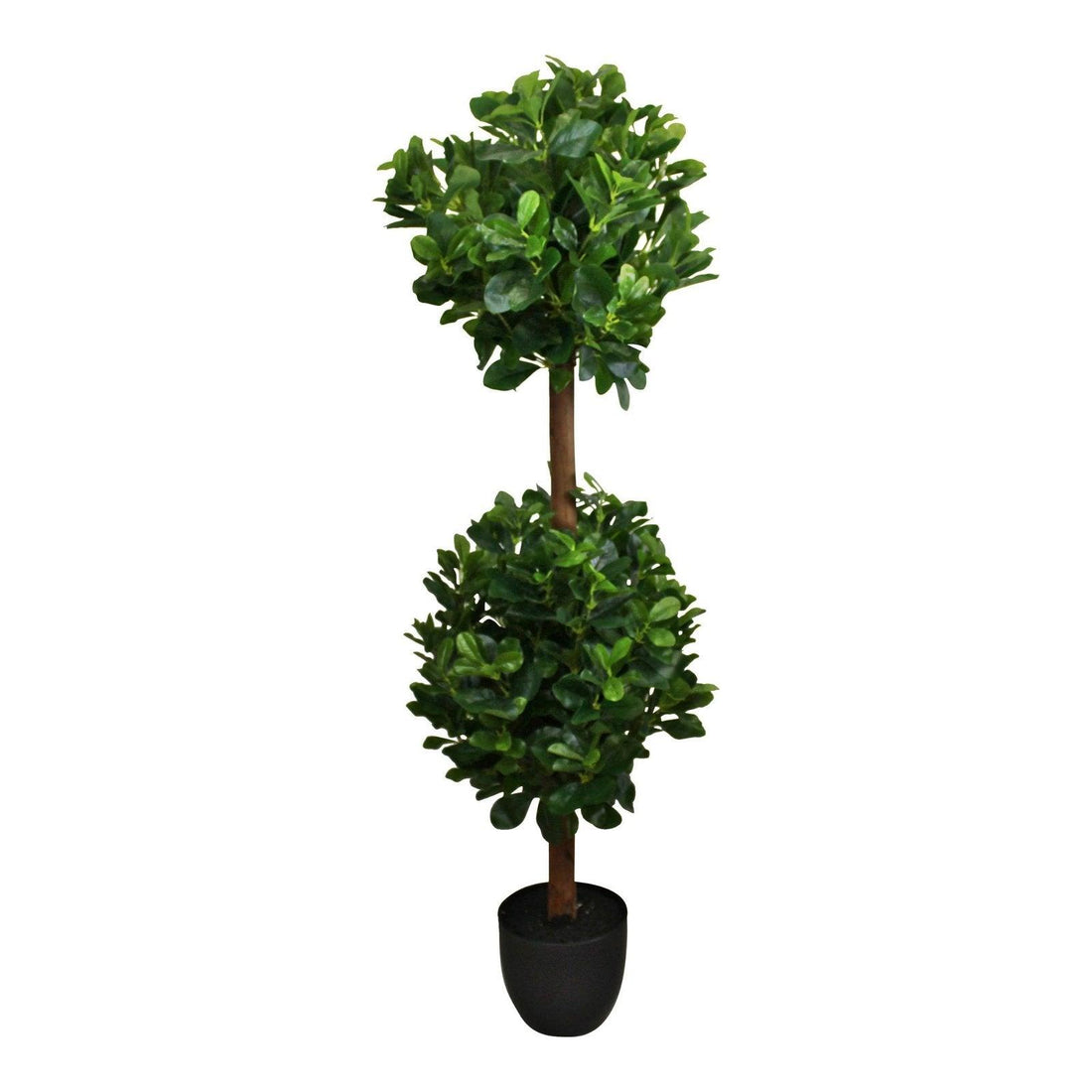 Artificial Tung Oil Ball Tree, 120cm - £100.99 - Artificial Plants 