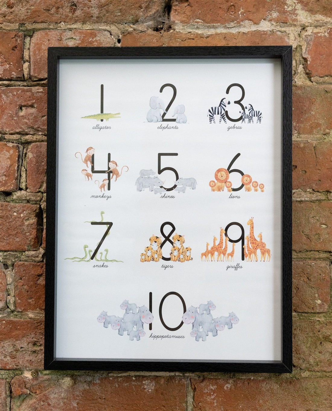 Baby Number 1-10 Animal Print Frame - £25.99 - Pictures 