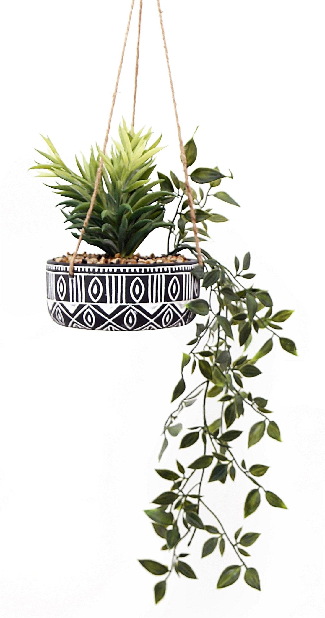 Black Ceramic Hanging Pot with Plants - £38.99 - Small Succulents & Faux Bonsai 