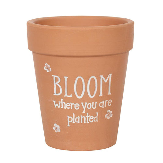 Bloom Where You Are Planted Terracotta Plant Pot - £12.99 - Plant Pots 