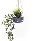 Blue Ceramic Hanging Pot with Plants-Small Succulents & Faux Bonsai