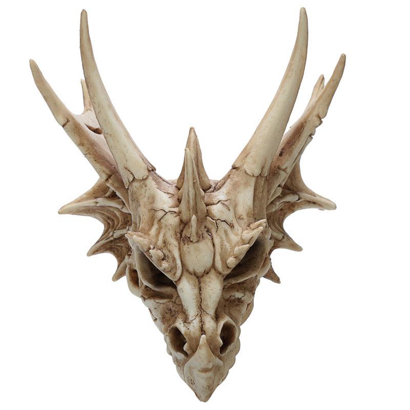 Collectable Dragon Skull - £44.99 - 