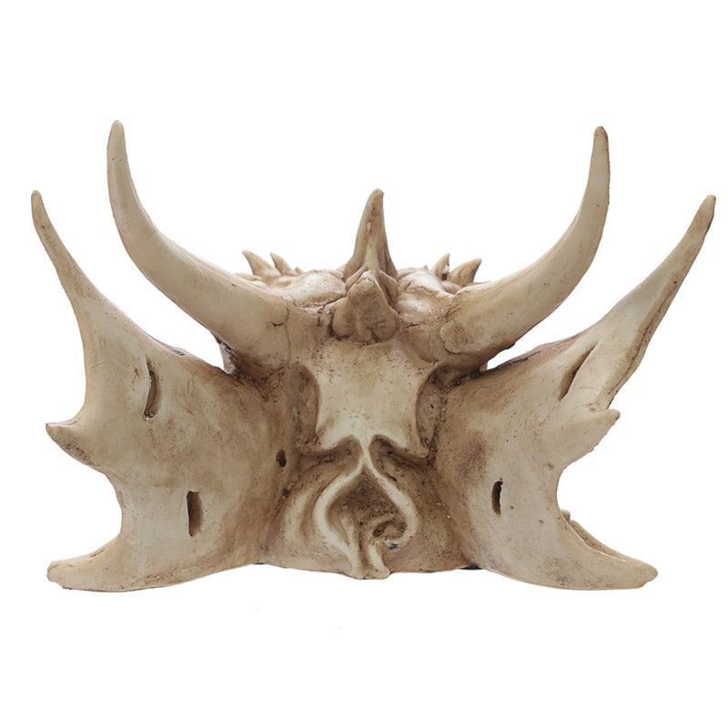 Collectable Dragon Skull-