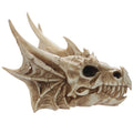 Collectable Dragon Skull-