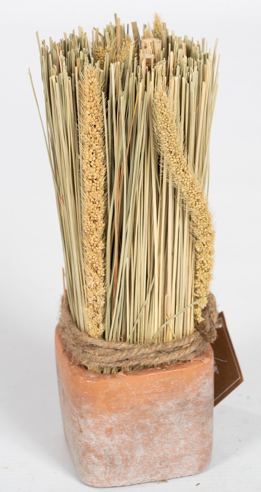 Corn Dried Grass Bouquet in Terracotta Pot - £16.99 - Flower Sprays 
