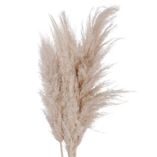 Cream Pampas grass - £22.95 - Artificial Flowers 