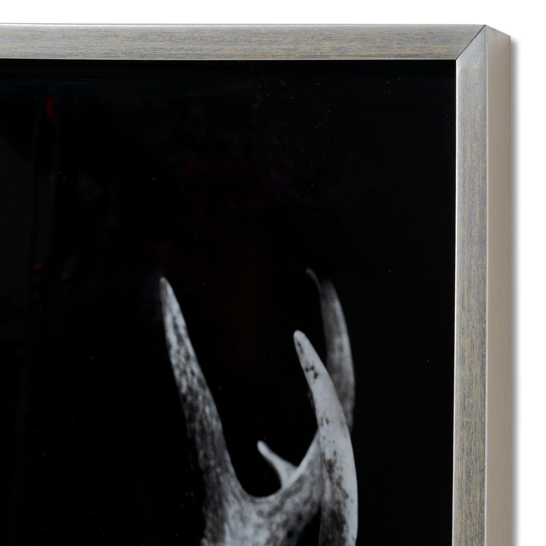 Dark Stag Glass Image with Silver Frame - £169.95 - Art & Printed Products > Printed Art > Animal Printed Art 