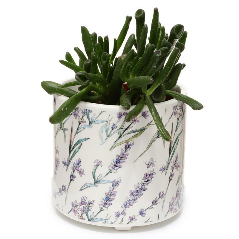 Decorative Ceramic Indoor Freestanding Planter/Large Plant Pot - Lavender Fields Pick of the Bunch-