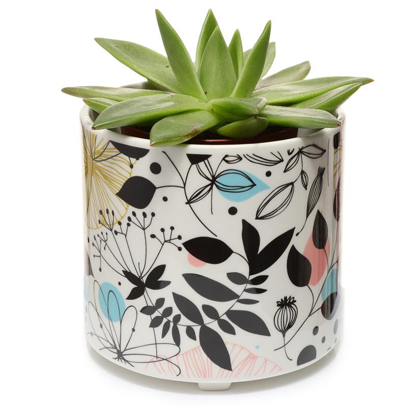 Decorative Ceramic Indoor Freestanding Planter/Large Plant Pot - Wisewood Pick of the Bunch-