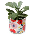 Decorative Ceramic Indoor Freestanding Planter/Small Plant Pot - Poppy Fields Pick of the Bunch-