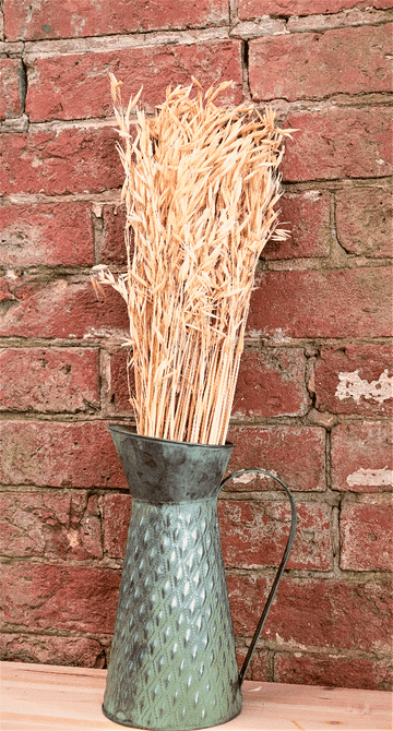 Decorative Dried Oats 60cm - £20.99 - Flower Sprays 