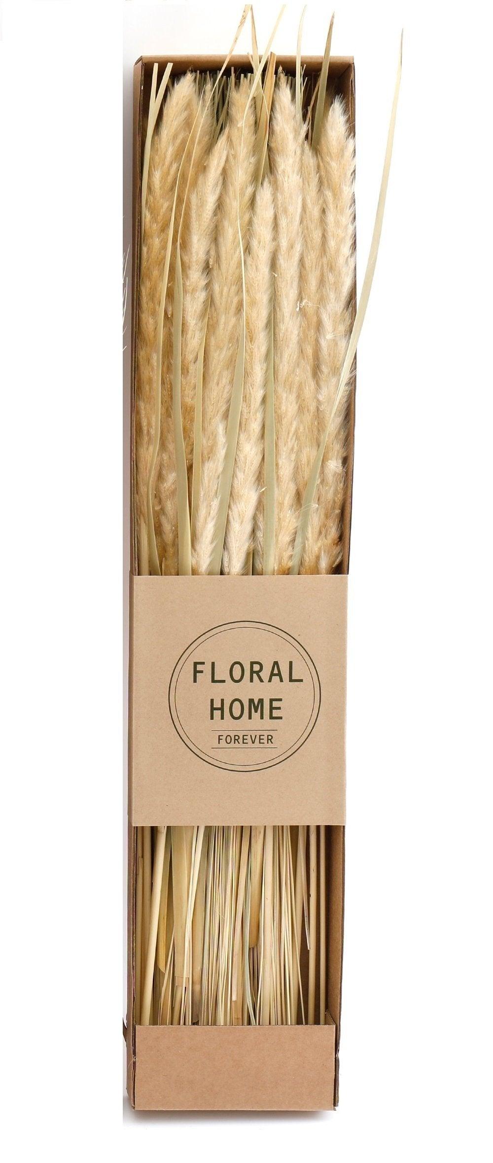 Decorative Dried Pampas Grass 60cm-Flower Sprays